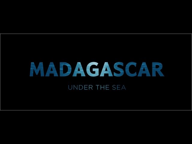 360° Madagascar Turtle Dive  VR Experience