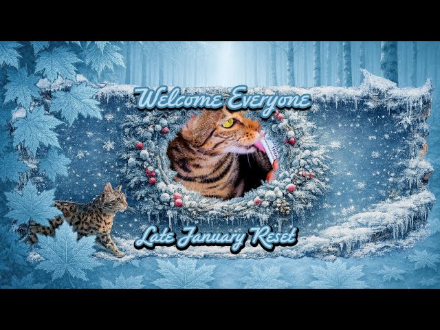 Late January Reset With Kitty (Part 2) | Snow Air, Raw Energy, Cozy Recharge