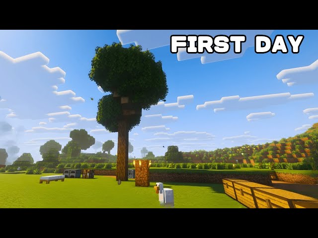 Starting Fresh in Minecraft Java | Episode 1 | No Commentary