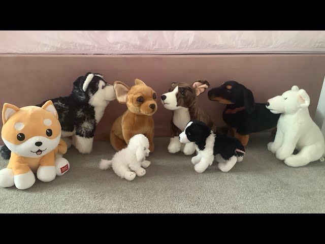 My Dog Breec Plushies