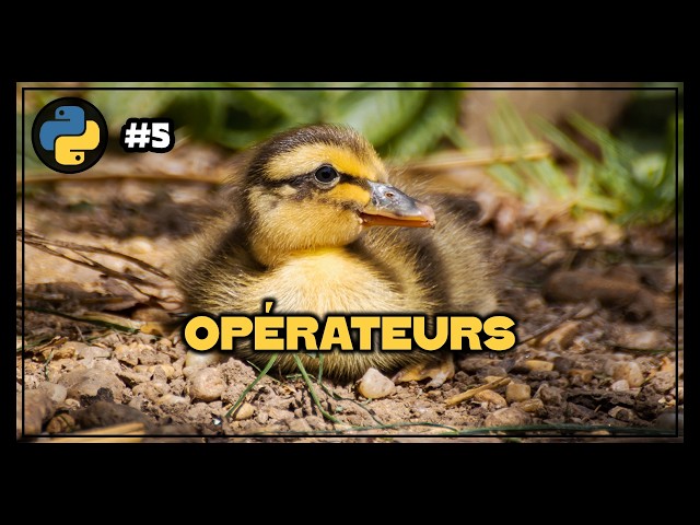 Operators | Python Exercise - 5