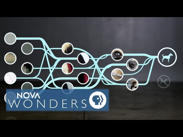 AI Explained: What Is A Neural Net?