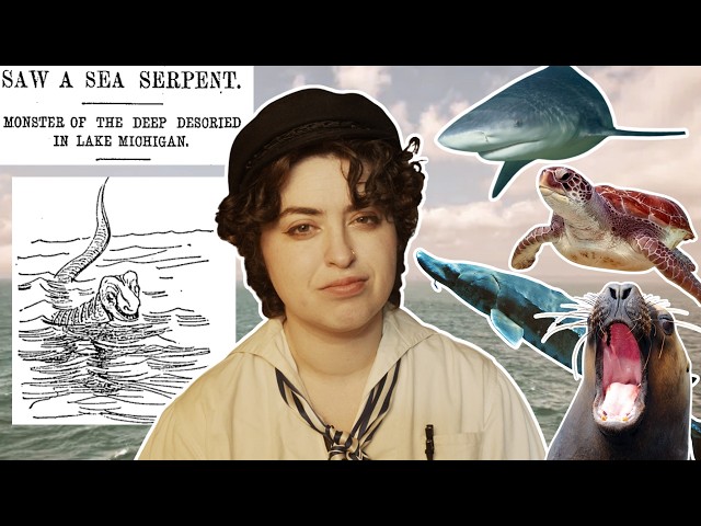 Is There Really A Sea Serpent In Lake Michigan?