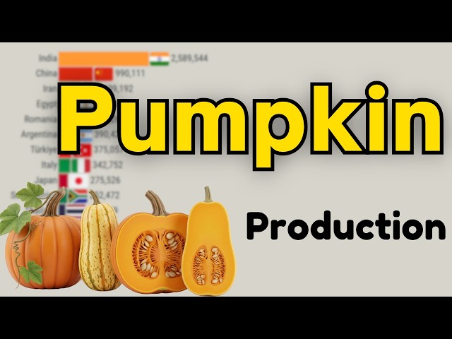 The Largest Pumpkin and Squash Producing Countries 1961–2026