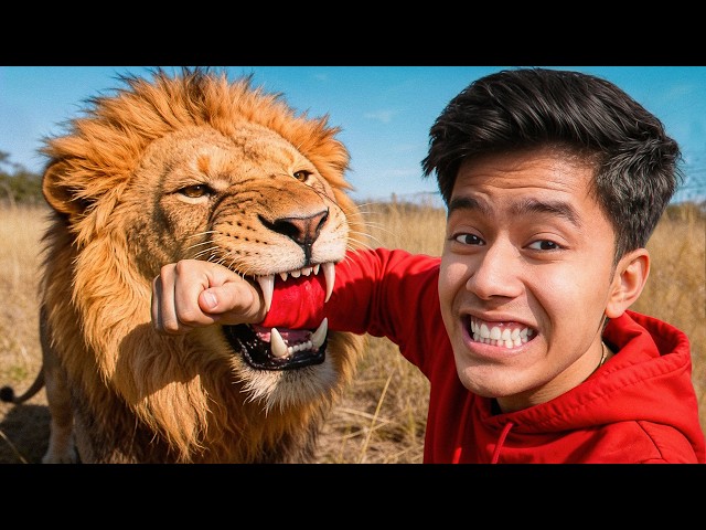 Living with Lion for a day!