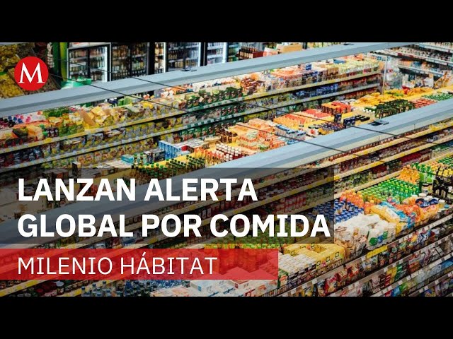 Global food production puts the planet at risk | Milenio Hábitat