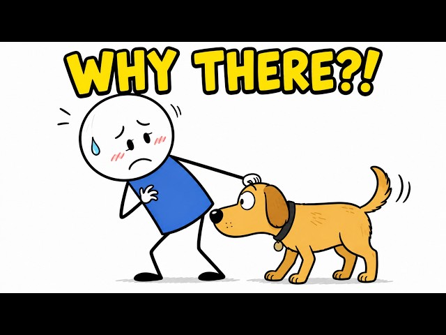 Why Do Dogs Sniff You There? The Science Explained