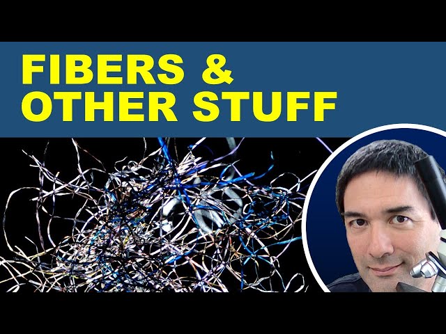 🔬 Natural and Synthetic Fibers under the Microscope
