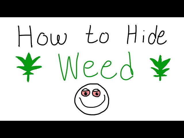 How to Hide Weed