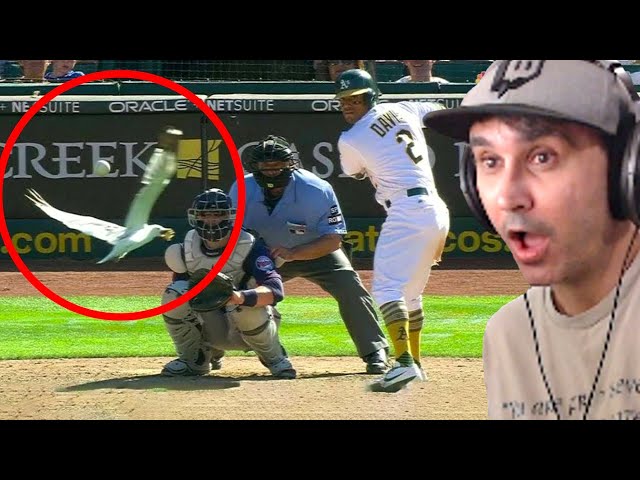 Summit1g Reacts to Craziest "1 in a Trillion" Moments in Sports History