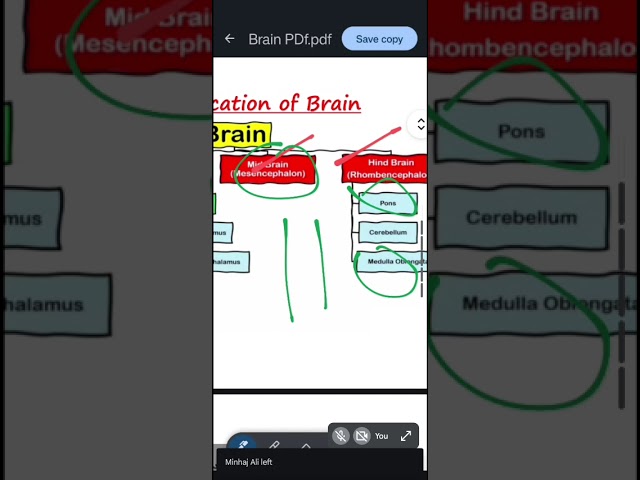Dr. Raman Sir's lecture on the nervous system