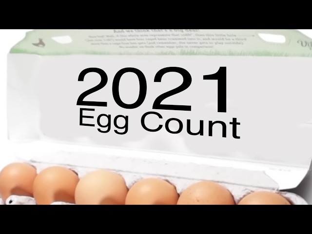 HowToBasic 2021 EGG COUNT