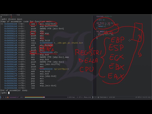 Introduzione alla Binary Exploitation (ft. "Smashing The Stack For Fun And Profit")