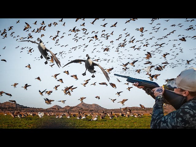 4 FLOCKS 100 BIRDS! OUTFITTER JOINS AND THIS HAPPENS!