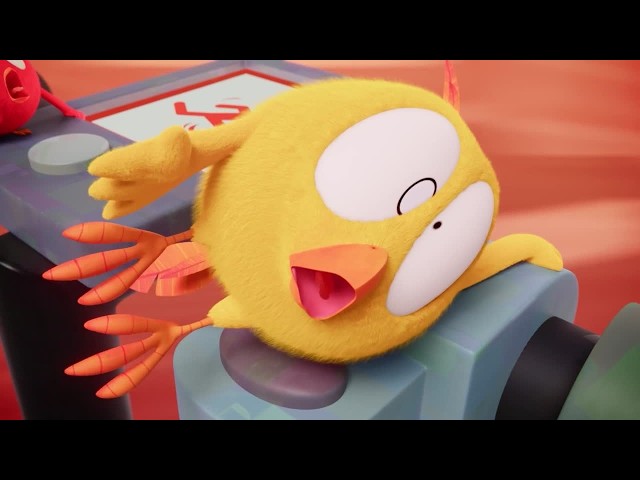 Isso está indo rápido demais! | Onde está Chicky? | Pintinho amarelinho | Desenhos animados Infantil