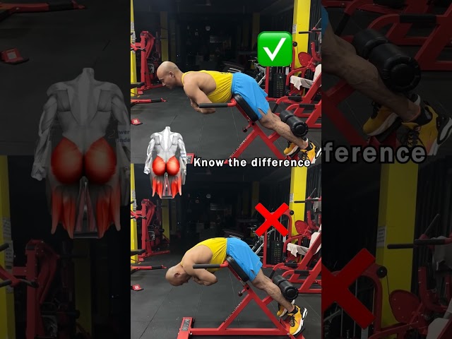 Fix Your Back Extension Form (Stop Doing This!)