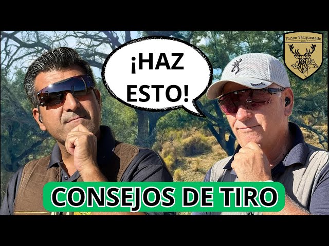 5 Consejos de tiro que DEBES saber
