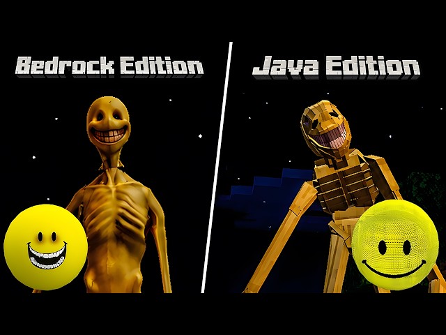 VERITY Java vs. Bedrock... the difference is RIDICULOUS