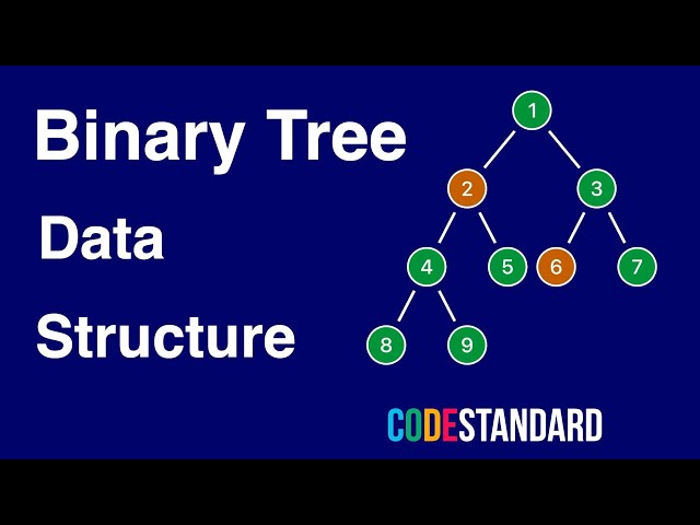 What is a Binary Tree - CodeStandard