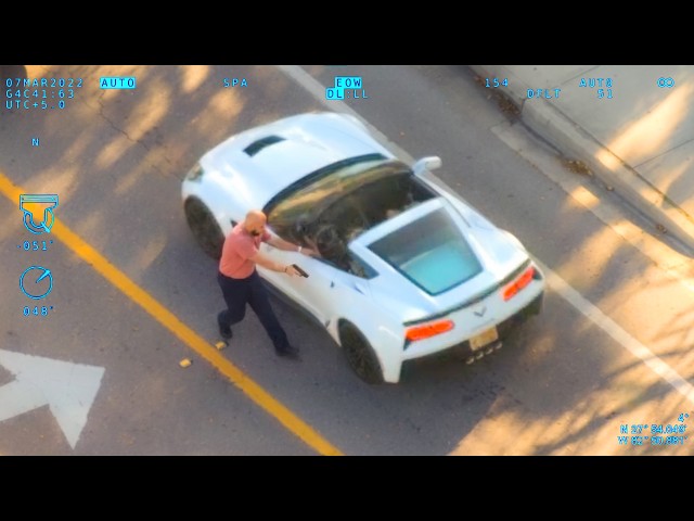 Suspect Thinks He's in Grand Theft Auto