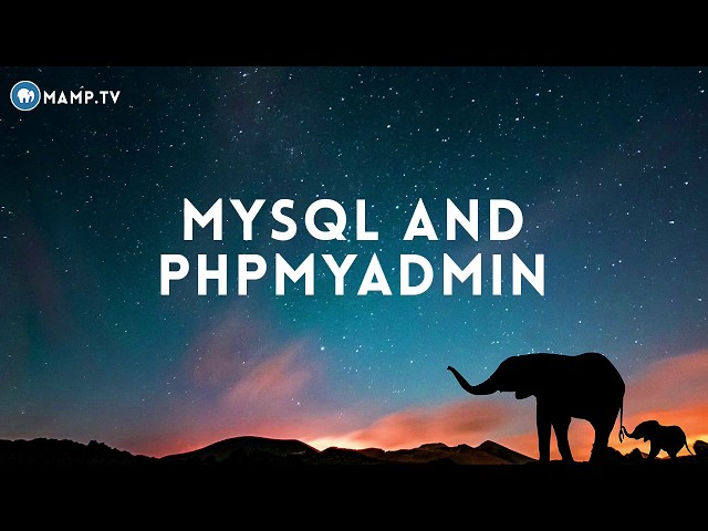 MySQL and phpMyAdmin