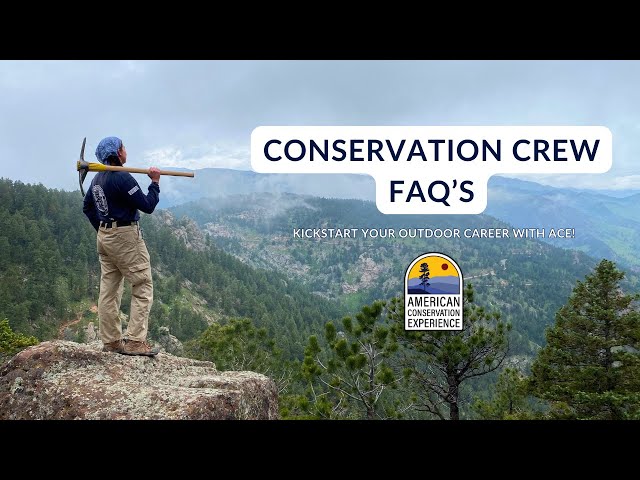 ACE Conservation Crew Explained | Your Top Questions Answered!