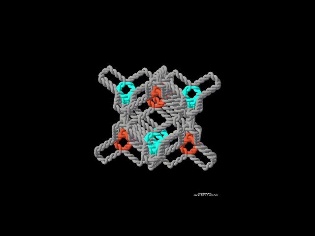 # 4^654 macrostate Fullerian Loop Struct.