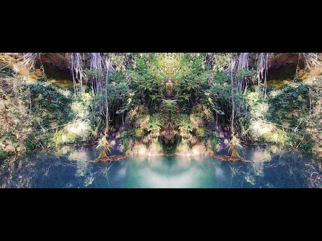 LSD Peak Simulation Replication 2