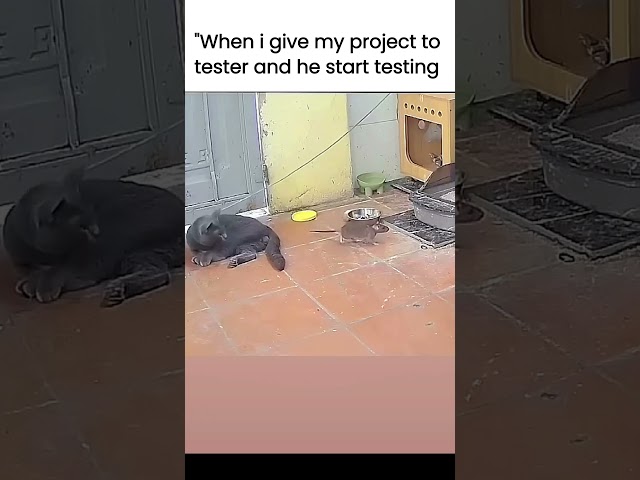 how Tester take project #coding #programming #python #javascript #webdevelopment #css #html