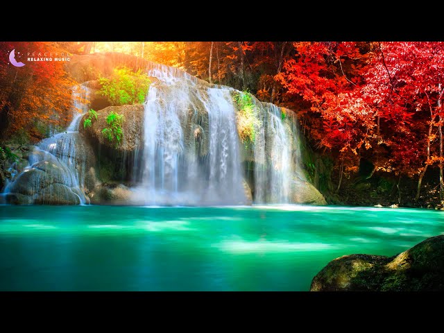 Relaxing Piano Music with Water Sounds • Calm the Mind • Meditation Music