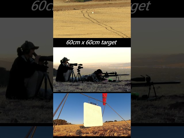 Extreme Long Range Team Target Practice