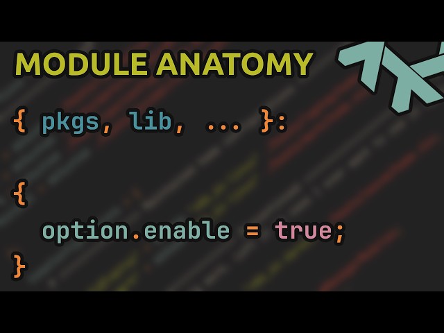 NIXBITS: NixOS Module Anatomy