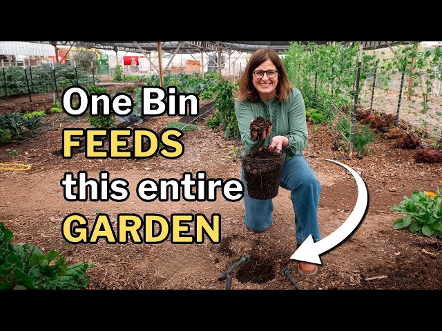 What these worms do will TRANSFORM your garden: In-Bed Vermicomposting