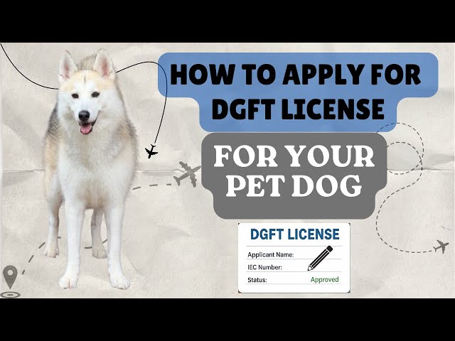 How to Apply For DGFT License For Your Pet Dog Online | Travel from US to India Temporarily