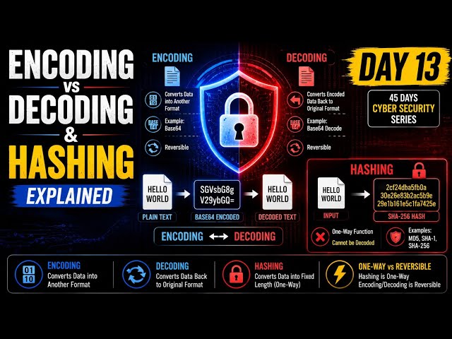 Day 13: Encoding vs Decoding vs Hashing Explained | Cyber Security Basics 🔐
