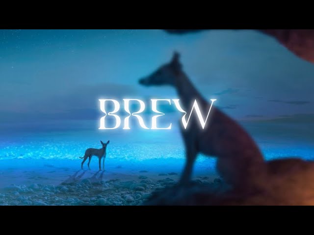 SLADE'S SHIFTING BREW V4