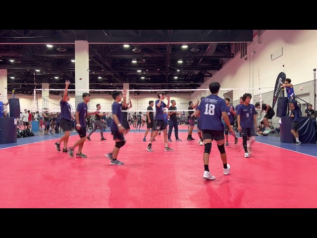 Mad dogs vs Connex C