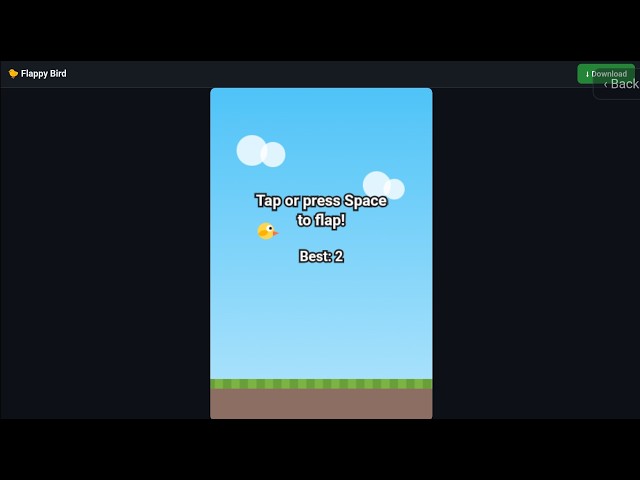 Setting Up Code Sources: Flappy Bird Game & Developer Portfolio Website