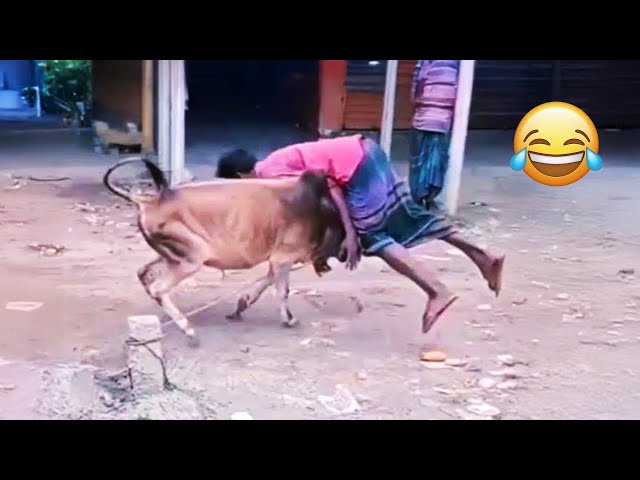 Try Not to Laugh - super funny video 😂 Top 50 Memes, Fails & Pranks🔥 Funny Fails