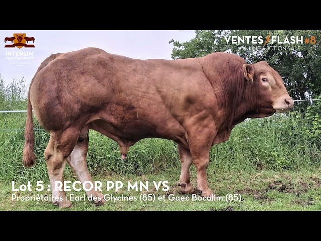 Lot 5 RECOR - Ventes Flash #8