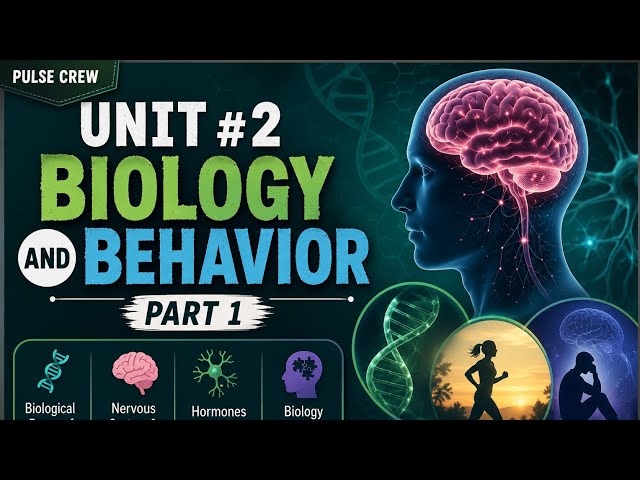 The Biology Behind Our Actions & How Genetics Shape Human Behavior | By Madam Noor