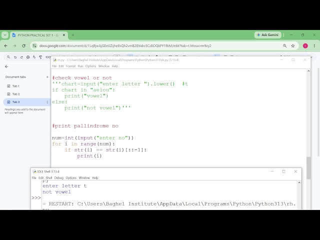 Python practical