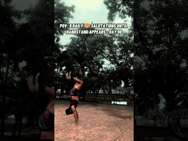8 Sun Salutations Daily Until Handstand Appears