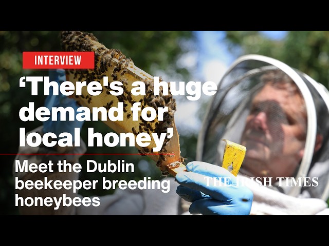 Meet the Dublin beekeeper breeding honeybees