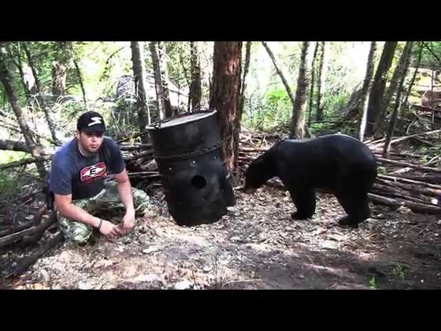 How to Field Judge a Black Bear
