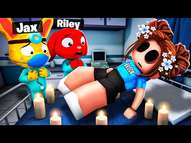 Something Is Wrong With Brook In Animal Hospital..