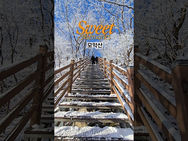 겨울 모악산에서의 멋진 순간! #모악산 #등산 #자연 #힐링 #산행 #트레킹