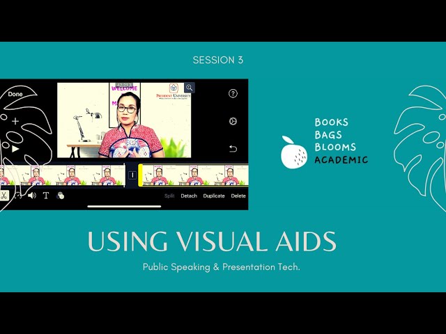 Using Visual Aids - Session 3