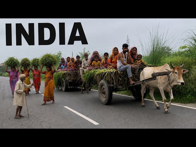 🇮🇳 Every Single Scenes Of this Video Will Make You Think ) Real India Will Shock You ( Hidden India