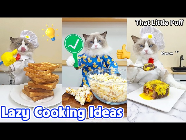 Puff's Lazy Cooking Ideas 🐱🍳 So Easy So Delicious! | That Little Puff
